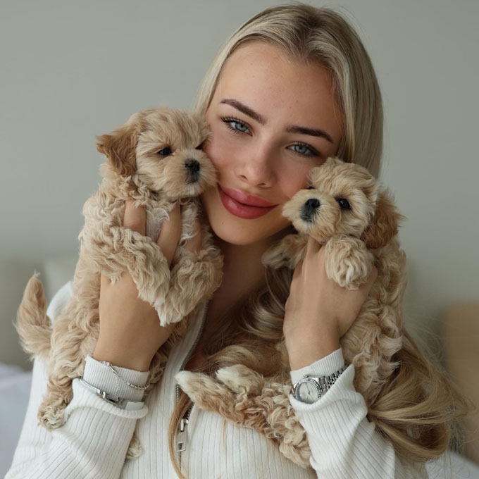 puppy lover